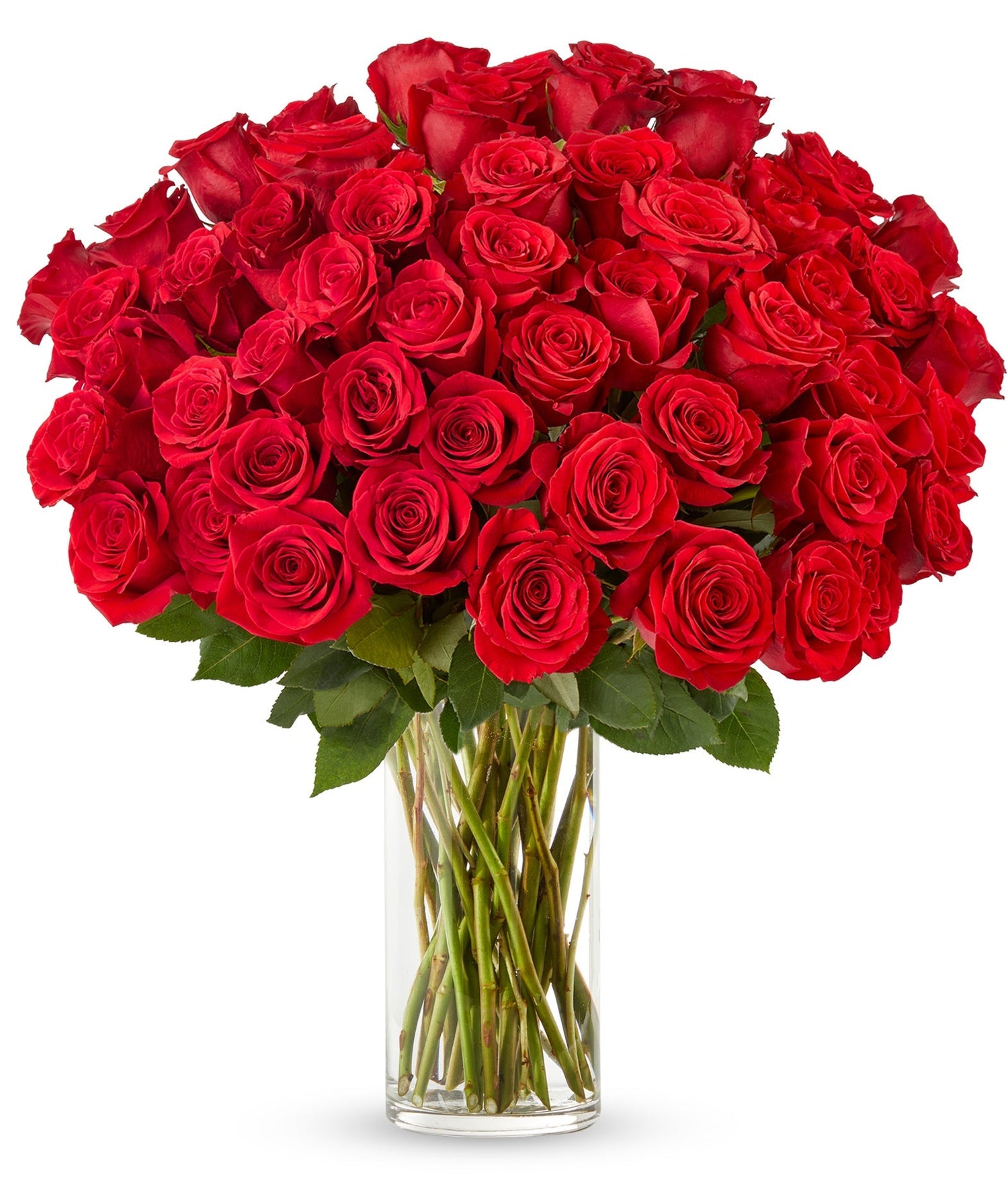 Rose Collection