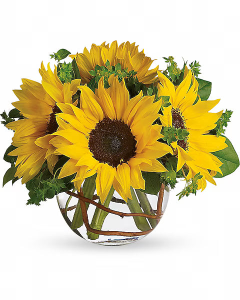 Bouquet of sunflowers in a clear glass vase on a white background