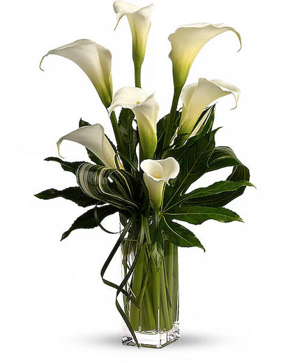 White calla lilies in a clear glass vase