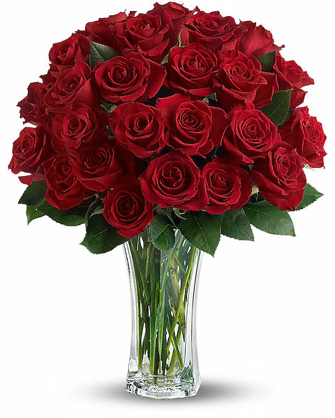 Elegant red roses in clear vase 